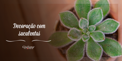 Confira Ideias de Decoração com Suculentas